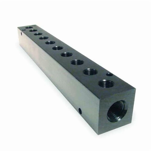 Manifold,Metal,NPT,9-1/8 In. L M20-250-10
