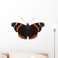 thumbnail image 1 of Butterfly Species Vanessa Atalanta Wall Mural by Wallmonkeys Peel and Stick Graphic (18 in W x 12 in H) WM98563, 1 of 4