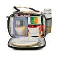 thumbnail image 2 of FORMRS Student Lunch Bag Insulated Reusable Cooler Box with Zipper Pockets, Abstract Landscape, 2 of 9