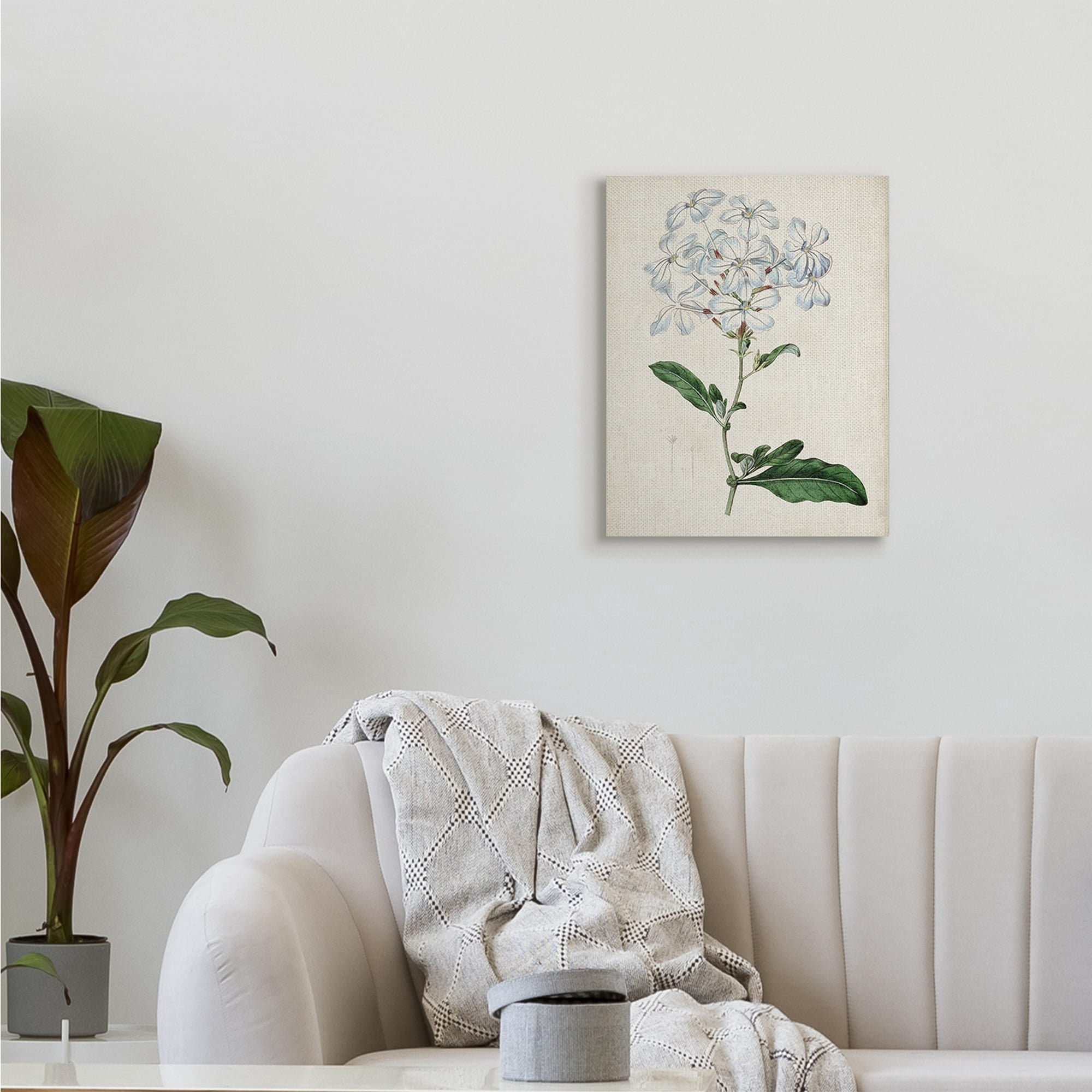 Stupell Industries Rustic Garden Floral Study Charming White Blossoms,30 x 40,Designed by Curtis