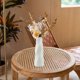 thumbnail image 5 of Plastic Imitation Glazed Vase Living Room Flower Arrangement TV Cabinet Decoration Dried Flower Decoration Flower Pot Flower Utensil, 5 of 6