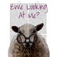thumbnail image 2 of Fab Funky 26x32 White Modern Wood Framed Museum Art Print Titled - Ewe Looking at Me DeNiro Sheep, 2 of 4