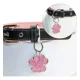 thumbnail image 2 of Etiquetas Grabadas Para Perros Y Gatos Con Nombre De Gato, P, 2 of 6