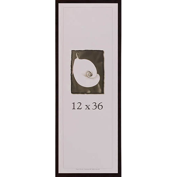 Architect Frames, 12 x 36, Cherry