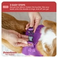 thumbnail image 6 of Downtown Pet Supply Step In Dog Harness For Small Dogs No Pull, Medium, Purple, 6 of 8
