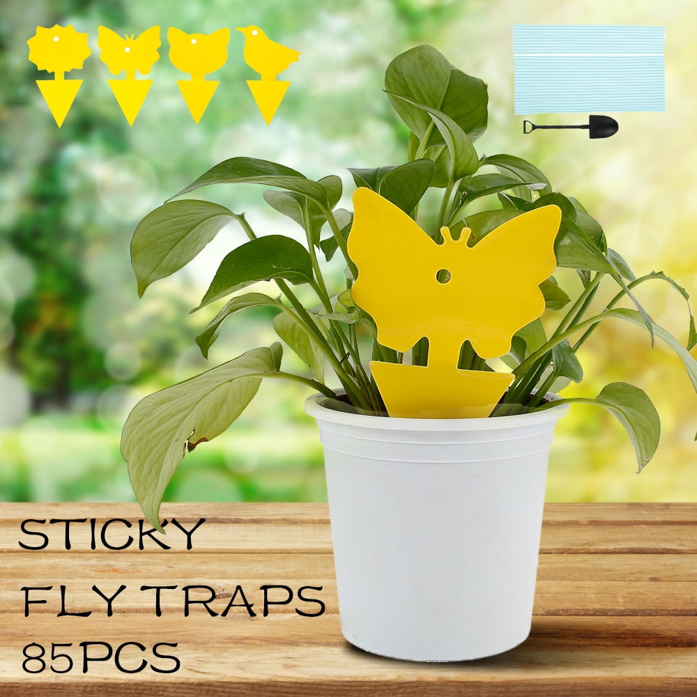 Willstar 48Pack Yellow Dual Sticky Fly Traps Paper Stickers Catcher Bug