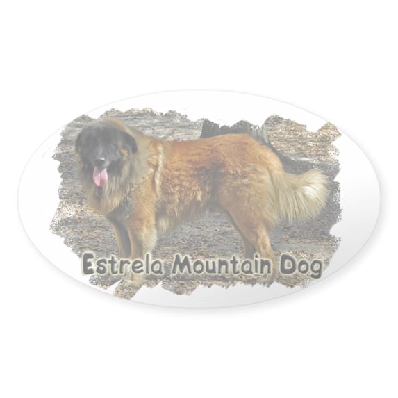 CafePress - Dourado DSC_0078 - Sticker (Oval)