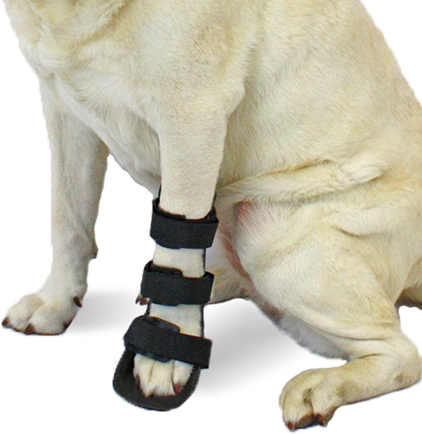 Walkin' Pet Splint for Dogs Front Leg Foot Splint for