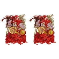 2 Sets Natural Dried Flower Set, Dried Pressed Flowers (Red)