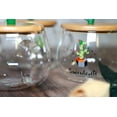 thumbnail image 5 of Cute Succulent Mug Glass Mug with Spoon and Wood Lid, 5 of 9