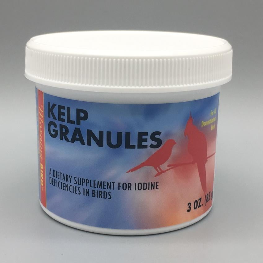 Morning Bird Kelp Granules for Birds