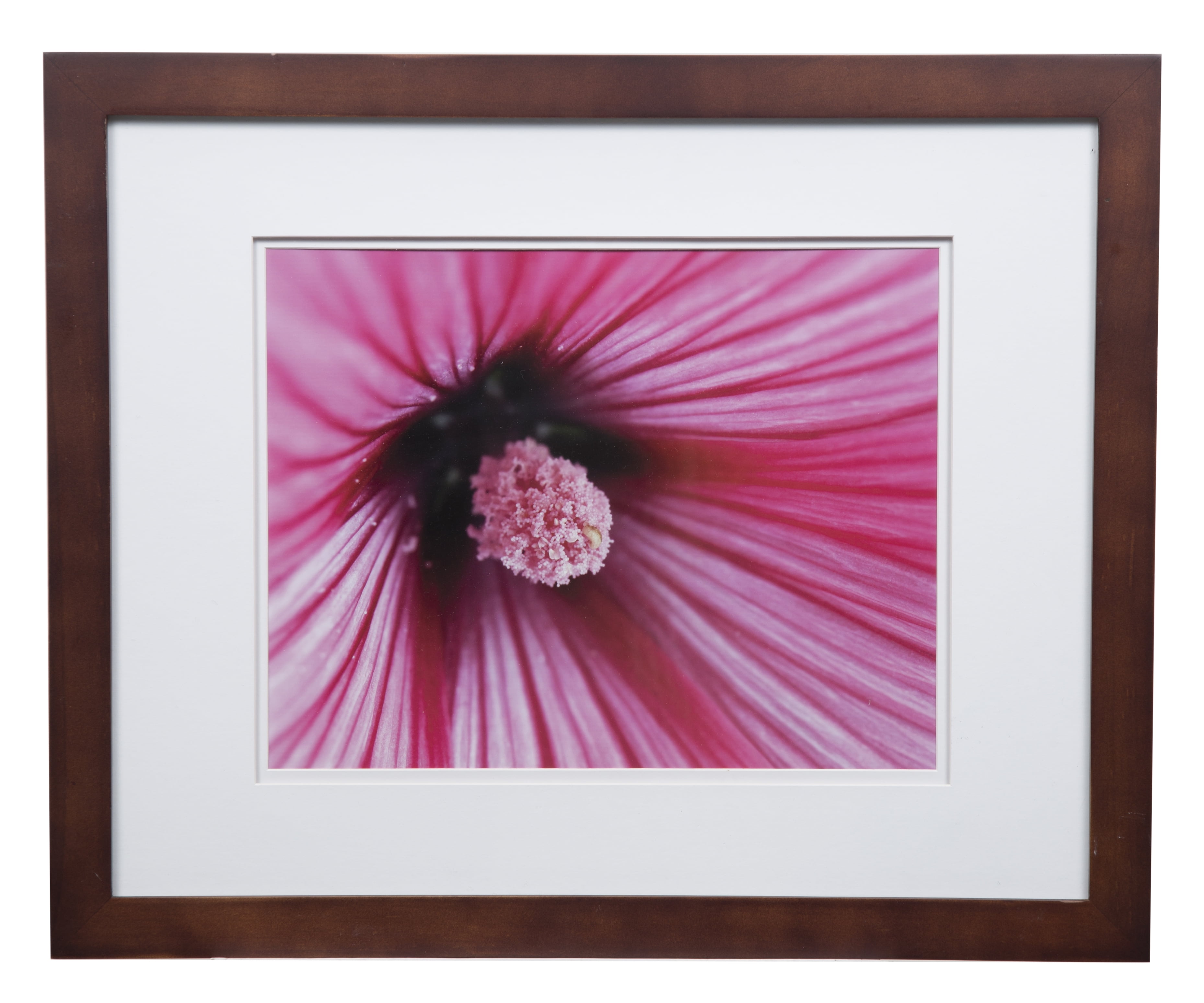 black frame Details about Flower picture,pink and yellow hibiscus 11 X 14 o...
