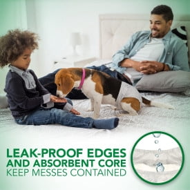 Vet's Best Comfort Fit Disposable Female Dog Diapers - Small, 12 Ct.