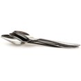 thumbnail image 5 of Parrot Feeding Spoon 5PCS Stainless Steel Water Milk Powder Spoons Feeder Feeding Tool for Pet Birds, 5 of 5
