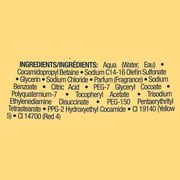 Dial Body Wash, Advanced Clean Gold, 16 fl oz