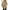 Khaki-A, variant on Rosvigor Women Lightweight Jackets Hooded Windbreaker Women Portable Waterproof Raincoat Hiking Travel Jackets