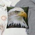 thumbnail image 2 of Orinice Bald Eagle Graphic Decorative Cushion Throw Pillow Cover Short Plush Soft and Durable 1PC 20x20in, 2 of 5