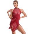 thumbnail image 2 of iefiel Robe de Danse Latine à Franges pour Femme Cha-Cha Tango Salsa Samba Rumba Robe de Danse Bourgogne P, 2 of 6