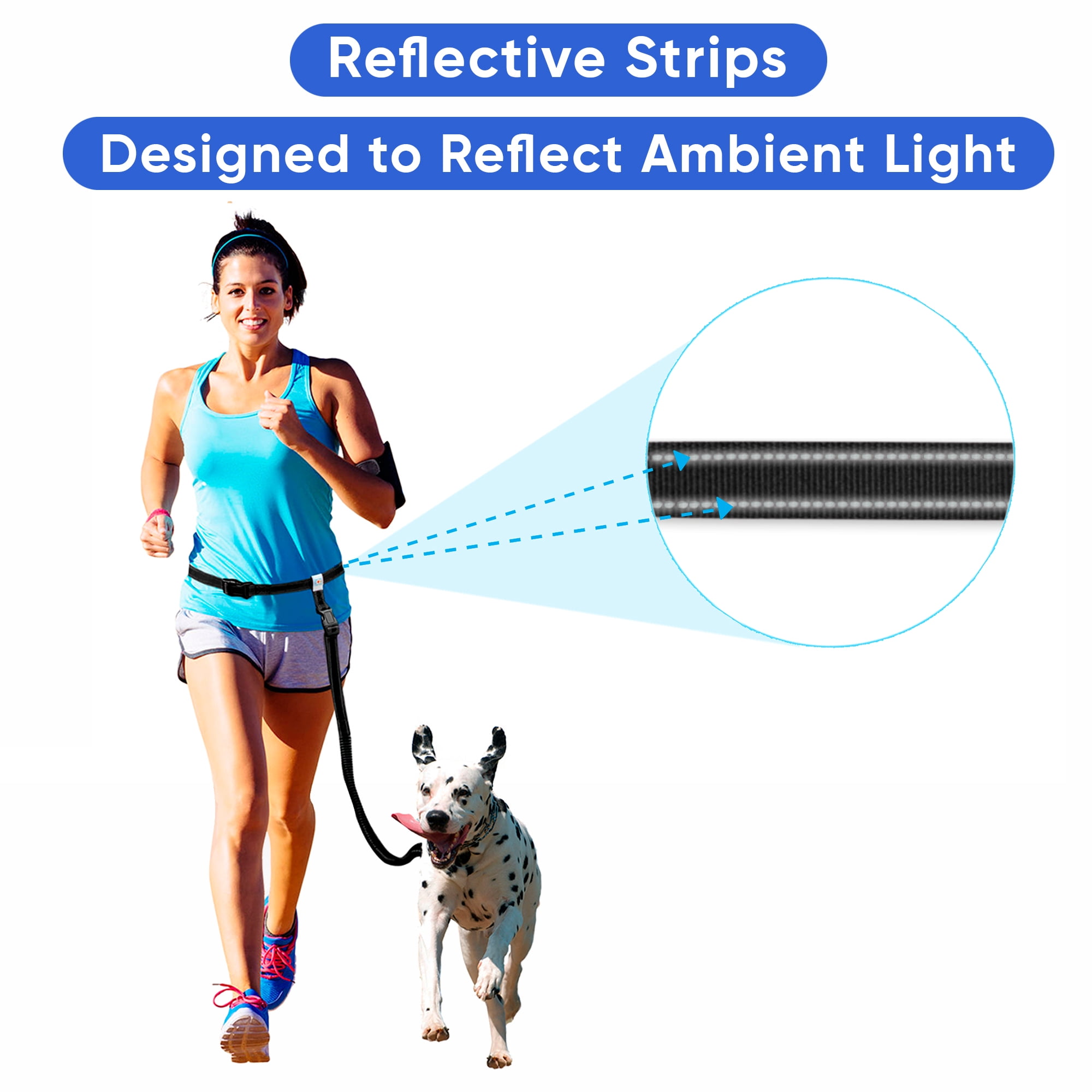 Pawtitas Dog Running Leash Hands Free for Large and Medium Dogs Reflective Dog Running Leash - Black Leash