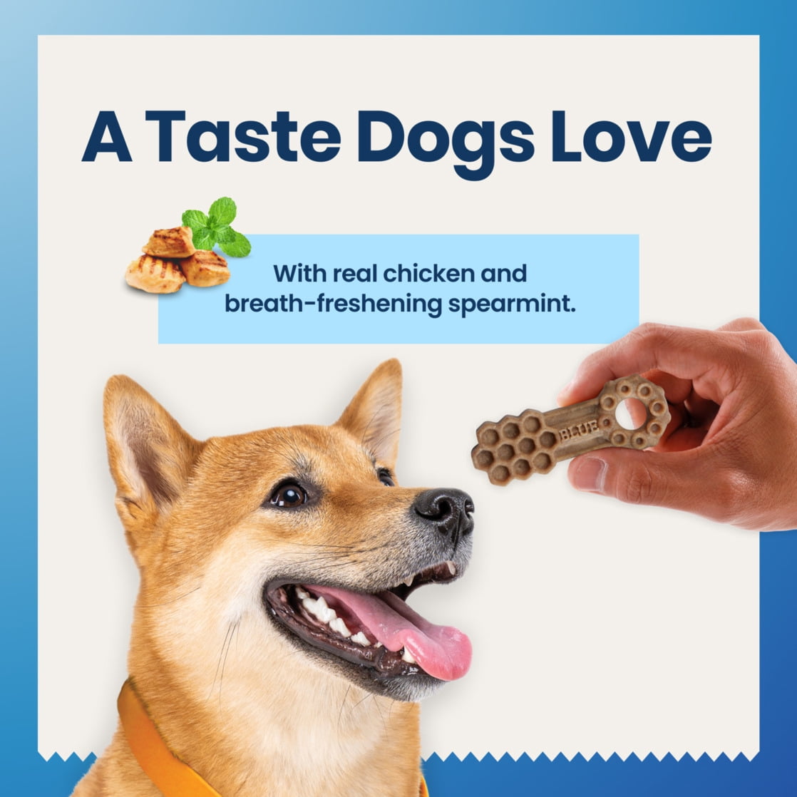 Blue Buffalo Small Dental Chews, Daily Dental Care Dog Treats, Chicken & Spearmint (84 Count)