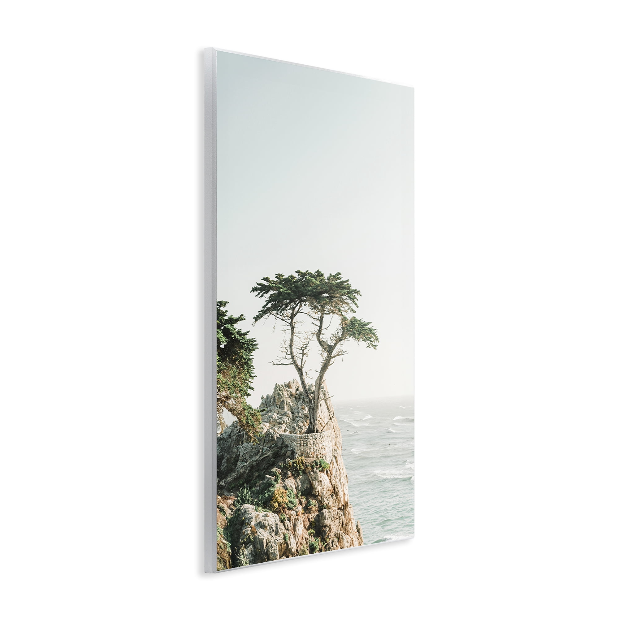 Stupell Industries Tree on Beachside Cliff Nautical & Beach Photography Unframed Art Print Wall Art, 13 x 19