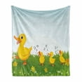 thumbnail image 1 of Cartoon Soft Flannel Fleece Throw Blanket, Mother Duck Babies Walking and Singing on the Meadow Flowers, Cozy Plush for Indoor and Outdoor Use, 50" x 70", Mustard and Pale Blue, by Ambesonne, 1 of 6