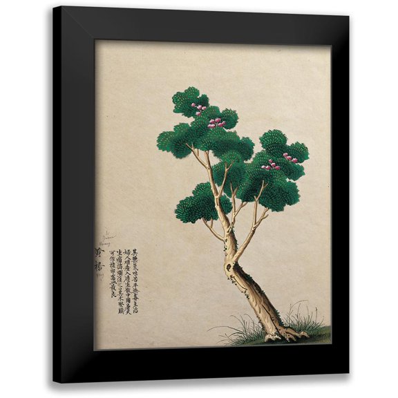 Unknown 12x14 Black Modern Framed Museum Art Print Titled - Oriental Tree