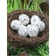 thumbnail image 1 of 1pc Birds Nest Bird Cage Natural Grass Egg Cage Bird House Outdoor Decorative Weaved Parrot Nest Houses Pet Bedroom, 1 of 5