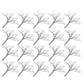 thumbnail image 4 of LYTMENT 20pcs Mini Cherry Tree Boles - Realistic Tree Branches For Micro-Landscape Crafts Home Decor Diy Miniature Scenes, 4 of 9