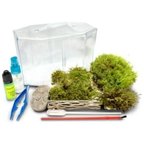 Live Moss Terrarium Kit with Supplies – Includes 3 Types of Live Moss, Plastic Terrarium, Wood Log, Peat Moss Base & 4-Piece Terrarium Tool Set