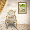 thumbnail image 3 of Millet, Karyn 11x14 Gold Ornate Wood Framed with Double Matting Museum Art Print Titled - Hummingbird Nest, 3 of 4