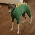 thumbnail image 3 of HQREA Italian Greyhound Whippet Fleece Dinosaur Costume Onesie Turtleneck Outfit Coat, 3 of 6