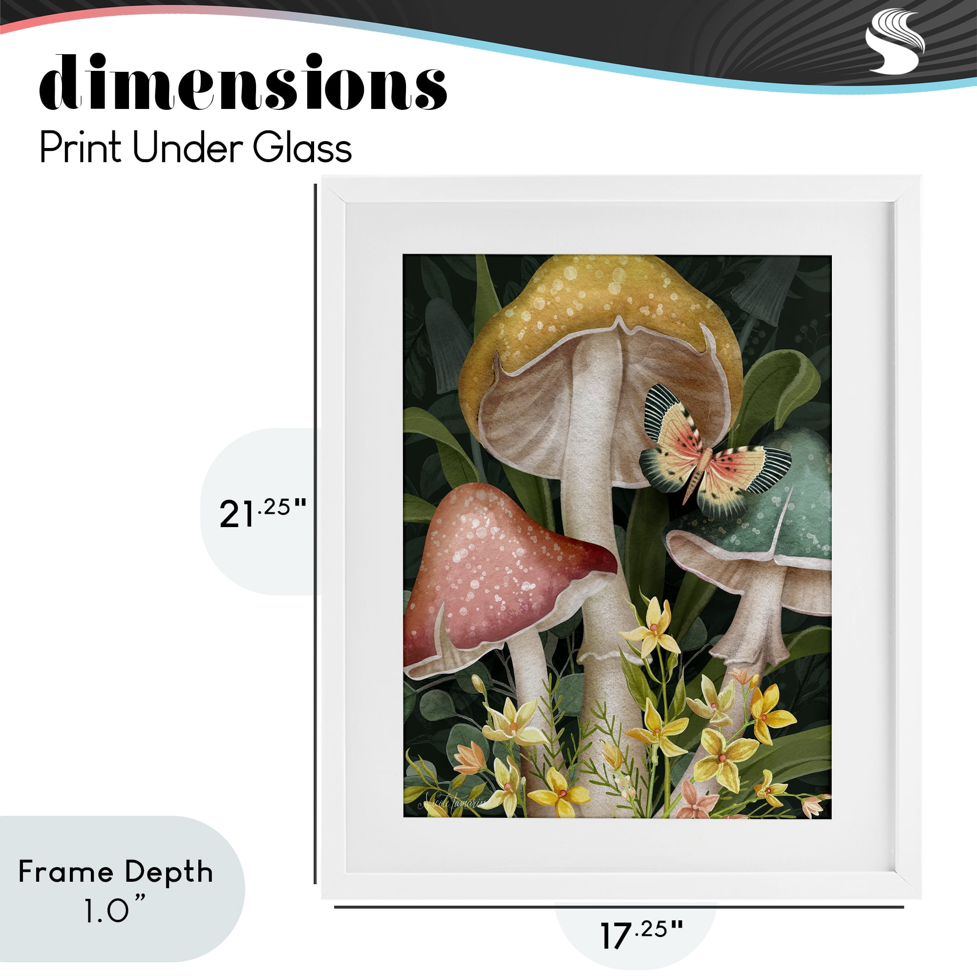 Stupell Industries Midnight Garden Mushrooms White Framed Print Under Glass, design by Nicole Tamarin