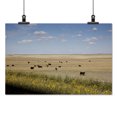 thumbnail image 2 of Print: Rural Scene, South Dakota, 2009, 2 of 4