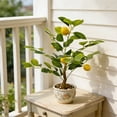 thumbnail image 6 of TOARTi Lemon Bonsai Tree Fake Fruit Citrus Plant With Plastic Pot For Home Office Indoor Tabletop Desk Kitchen Living Room 35x45 cm, 6 of 11