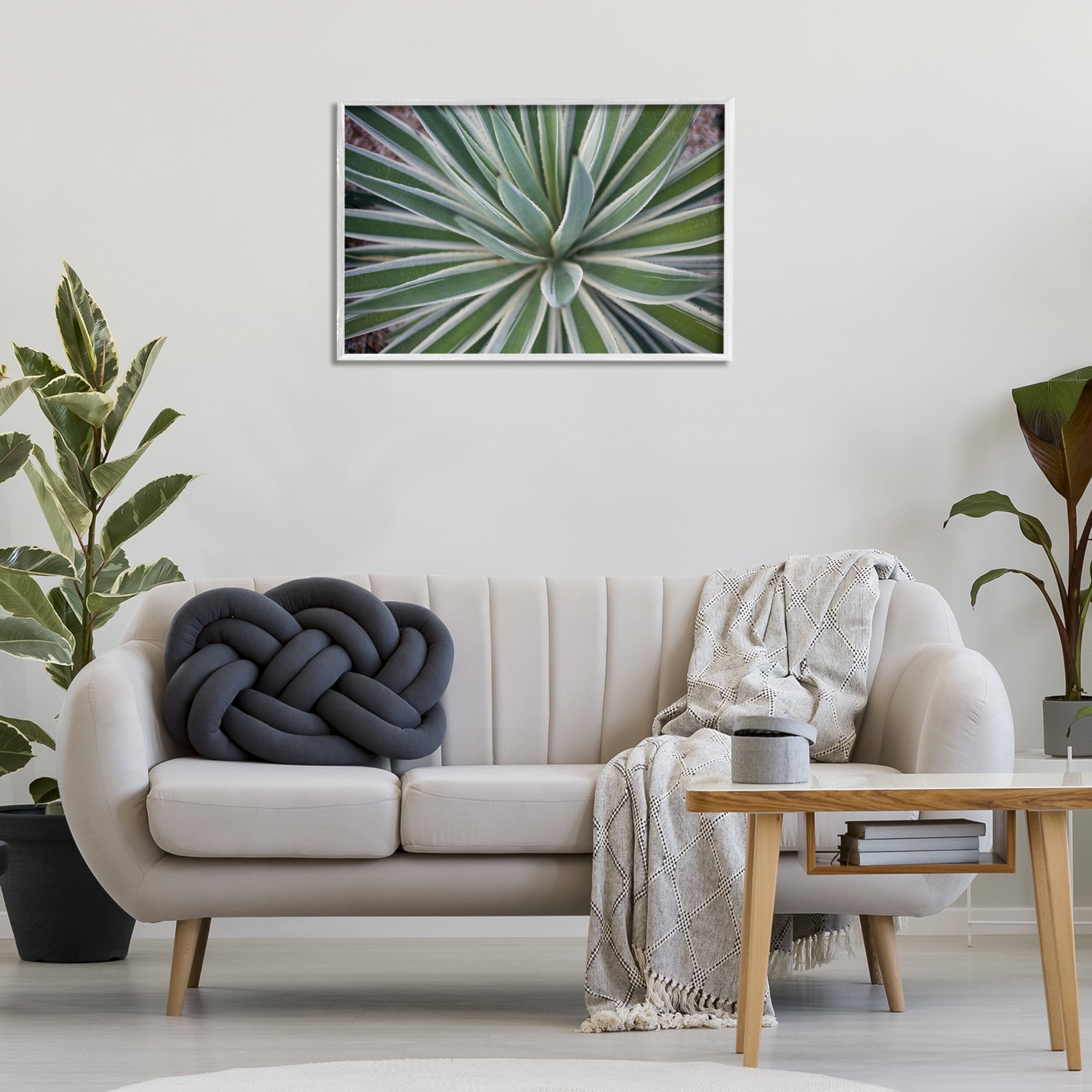 Stupell Industries Centric Succulent Leaves Botanical & Floral Photography White Framed Art Print Wall Art, 30 x 20