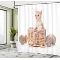 thumbnail image 4 of Ambesonne Kitty Shower Curtain, Goofy Small Cat in Basket, 69"Wx70"L, Pastel Brown and Pale Salmon, 4 of 4