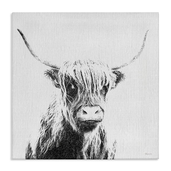Stupell Industries Longhorn Sketch in Grey Animals Painting Wrapped Canvas Art Print Wall Art, 36 x 36