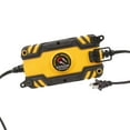 Everstart Maxx 4 Amp Waterproof 12v Automotive and Marine Battery