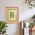 thumbnail image 6 of Fern with Crackle Mat (H) IV - Framed Print w/glass - Sunset Pink, 6 of 6