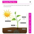 thumbnail image 5 of LED Grow Light Bulb Full Spectrum Growing Lights for Indoor Plants E26 E27 Plant Light Bulbs for Indoor Greenhouse Hydroponic Succulent, 5 of 8