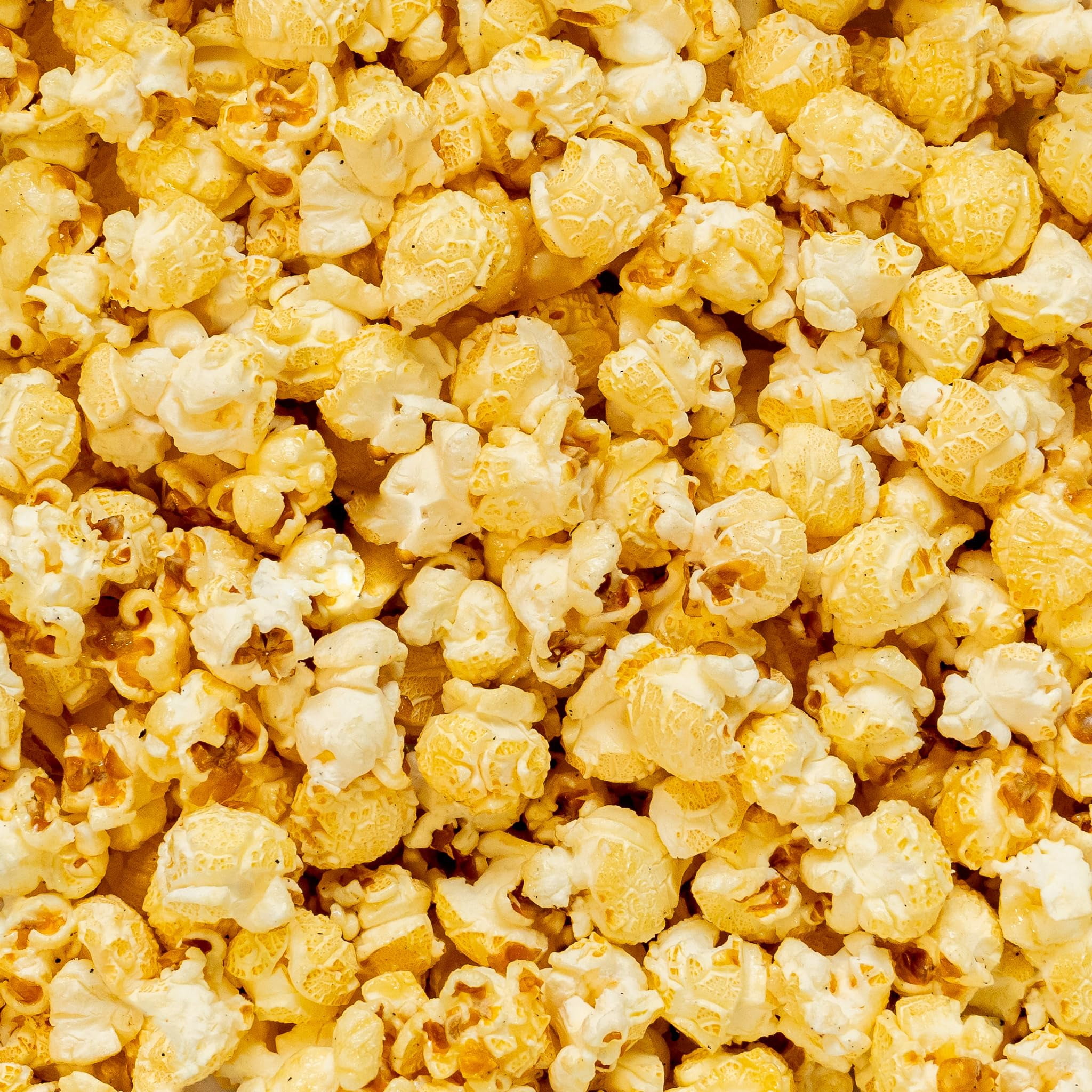 Colby Ridge Kettle Gourmet Craft Popped Gluten Free Popcorn Bulk Sized Large Gift Bags (Bulk 5 Gal. 80 Cups)