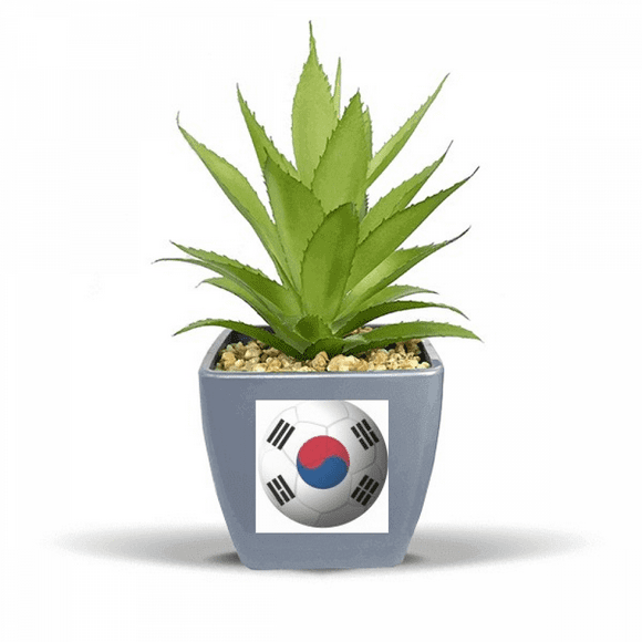 Korea National Flag Soccer Football Fake Pineapple Flower Pot Vase Mini Decor