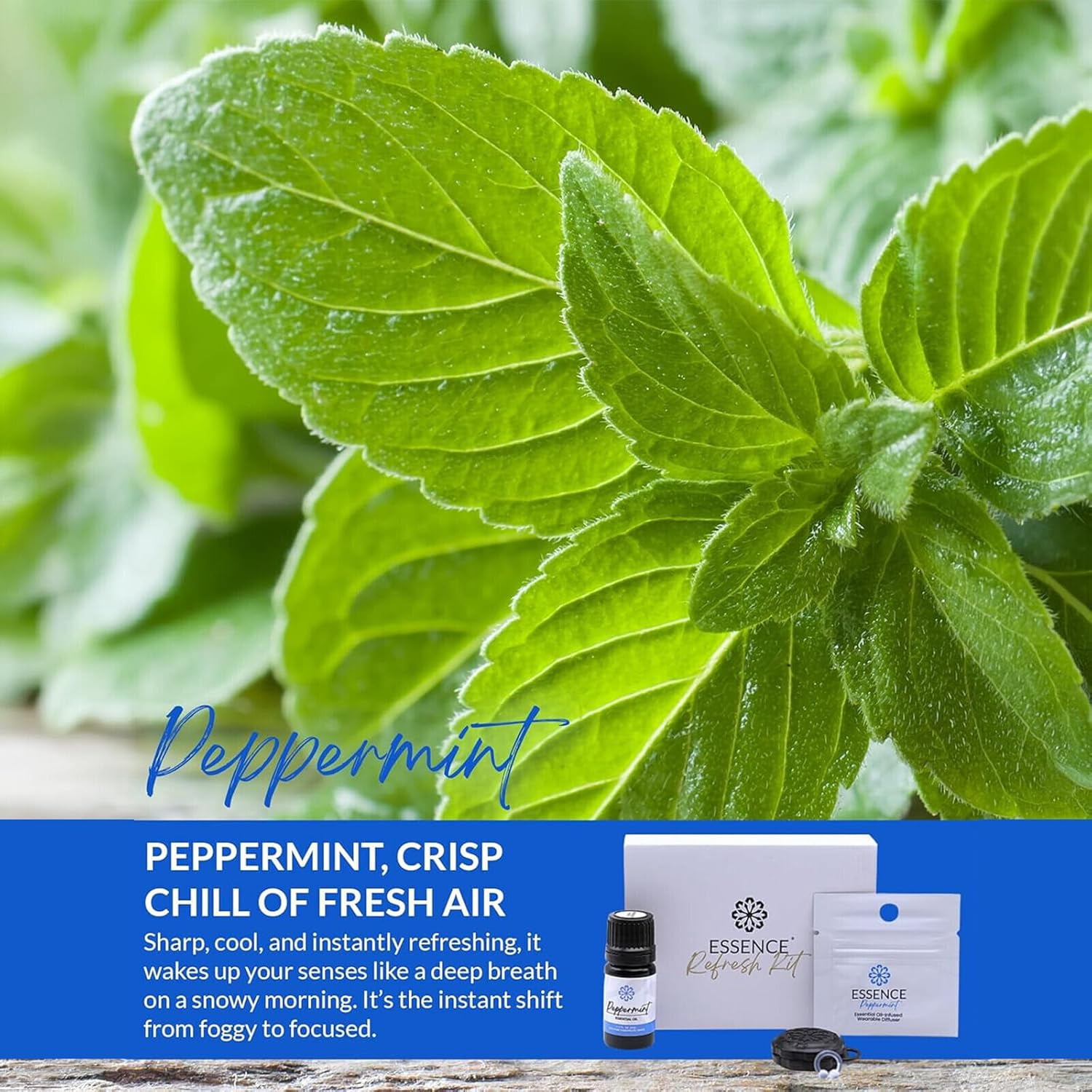Essence Refresh Kit – Peppermint Essential Oil – Black Aromatherapy Pod