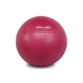 thumbnail image 2 of MD Buddy 55cm Anti-burst Stability Ball with Pump, 2 of 2