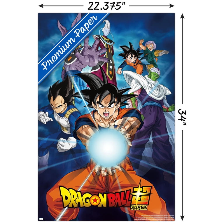 Dragon Ball Super - Groups Wall Poster, 22.375