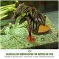 thumbnail image 3 of QUMIIRITY Planta Artificial Para Terrarios Para Reptiles Con Base Estable Multicolor, 3 of 7
