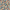 Gray Acorns Pattern, variant on FORMRS Mini Backpack Purse for Women Travel Daypack Casual Shoulder Bag, Gray Acorns Pattern