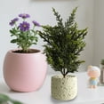 thumbnail image 6 of Black Artificial Potted Plants, Fake Indoor Greenery, Modern Office Desk Decor, Realistic Faux Bonsai, Low Maintenance Home Ornament, Decorative Small Plant, 6 of 6