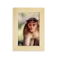 thumbnail image 1 of Monkey m Animal Desktop Display Photo Frame Picture Art Painting 5x7 inch, 1 of 3